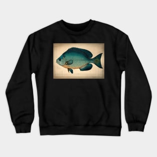 Bluegill Fish Print Crewneck Sweatshirt